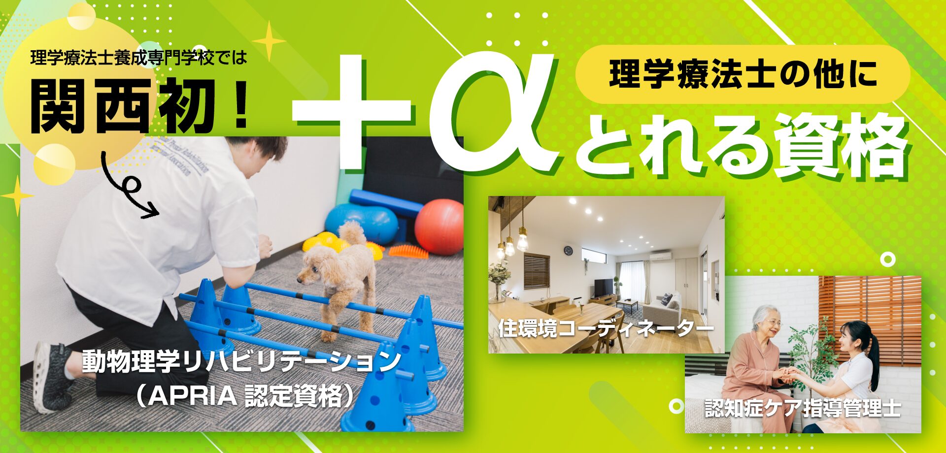 動物リハビリテーション資格